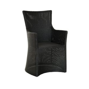 Enola Arm Chair