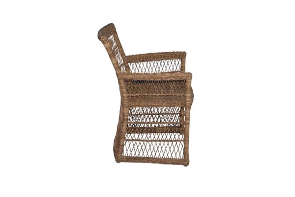 Linus Dining Arm Chair Open Weave Side View 2